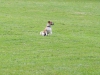 k-IMG_6108