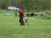 k-IMG_6156
